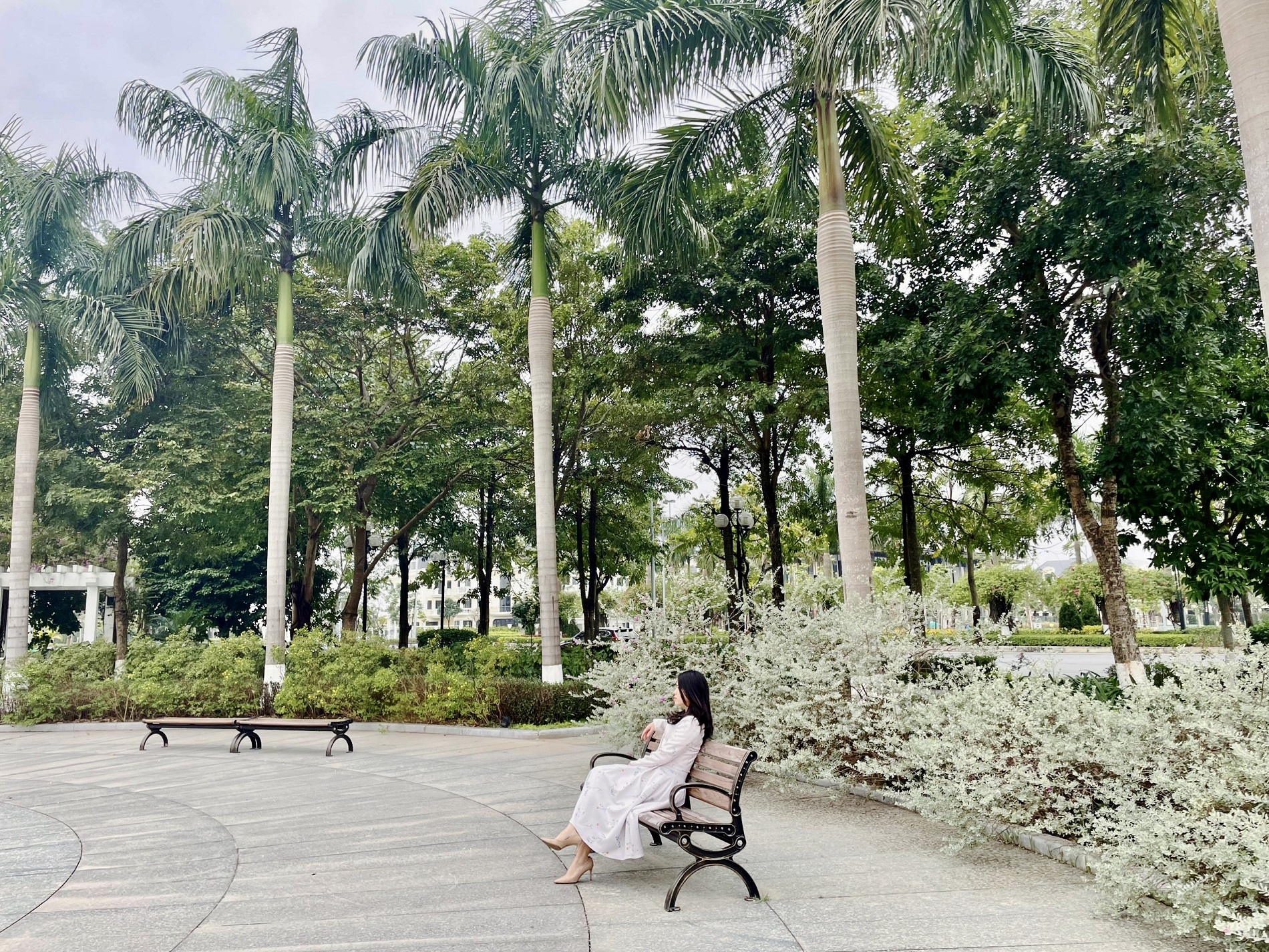 công viên Hamorny Park